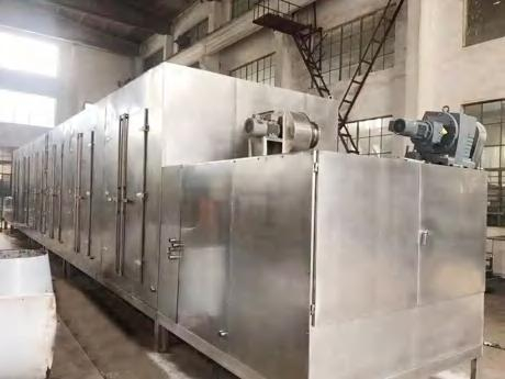  DWF Belt Dryer