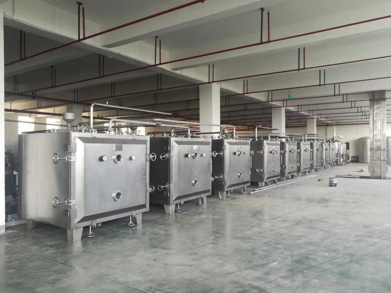 Vacuum Tray Dryer