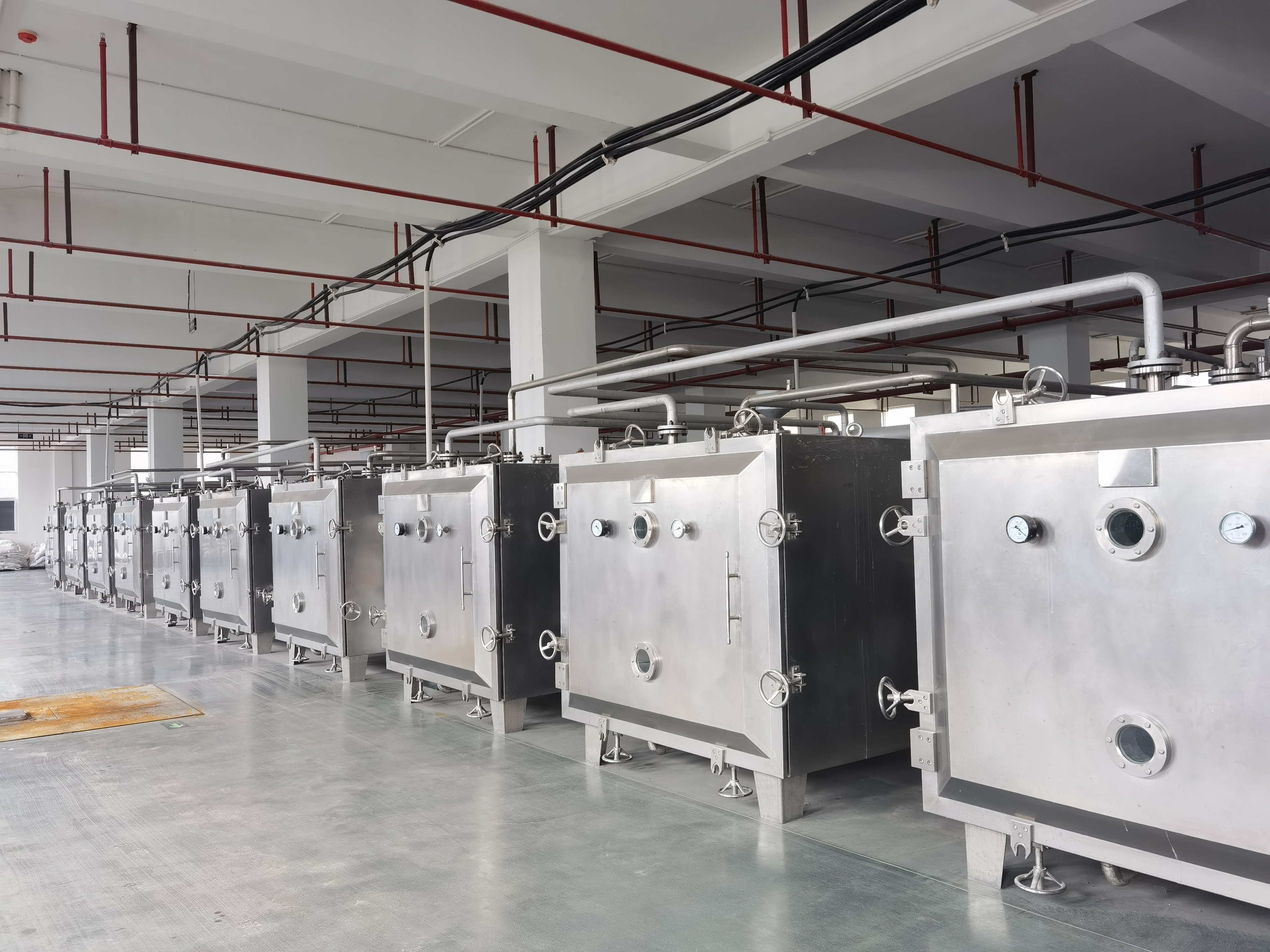 Vacuum Tray dryer