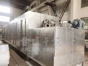 continuous belt dryer