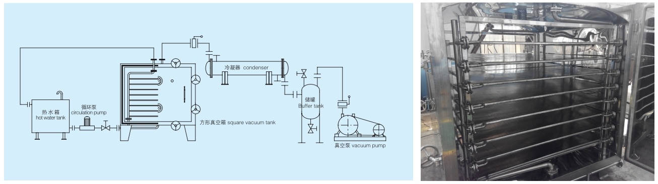 Vacuum Dryer