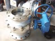 Vacuum Paddle Dryer (Packing Seal)