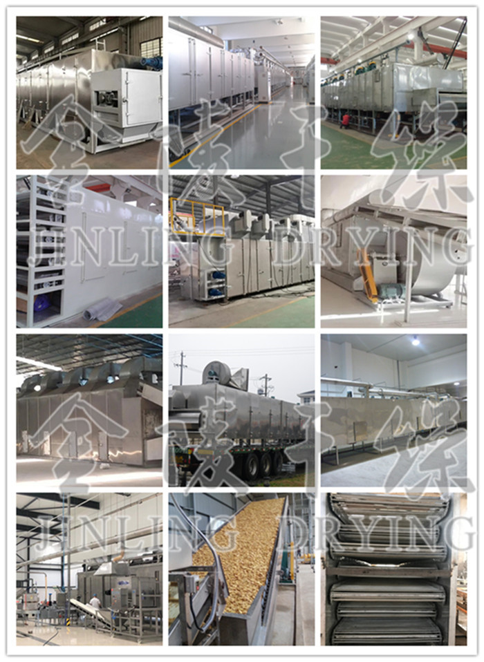 Industrial belt dryer