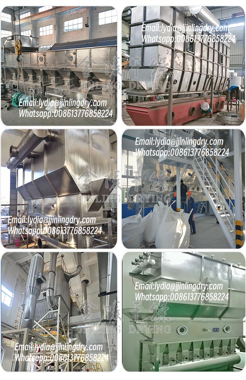 fluidized bed dryer